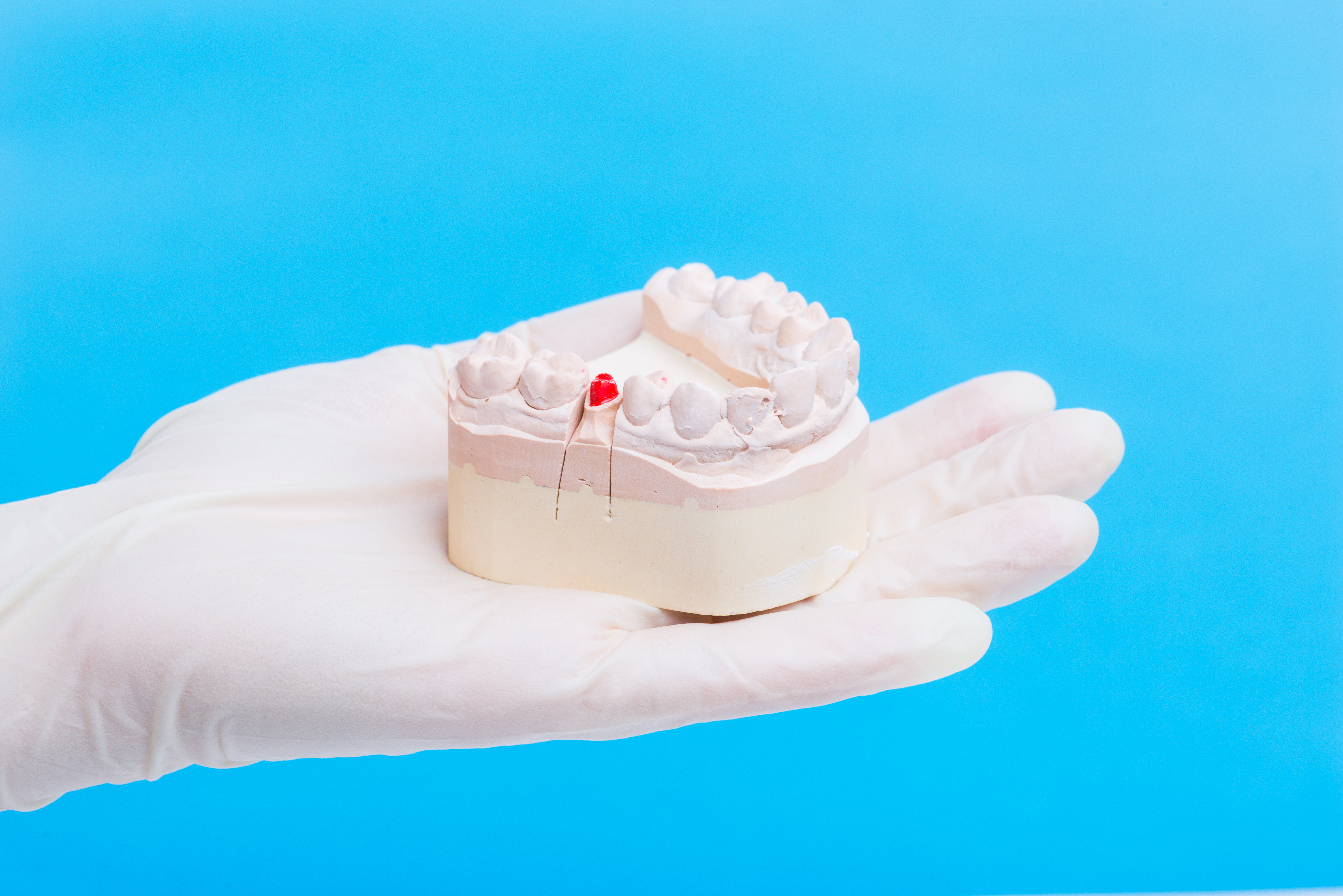 Dentist shows how to clean teeth