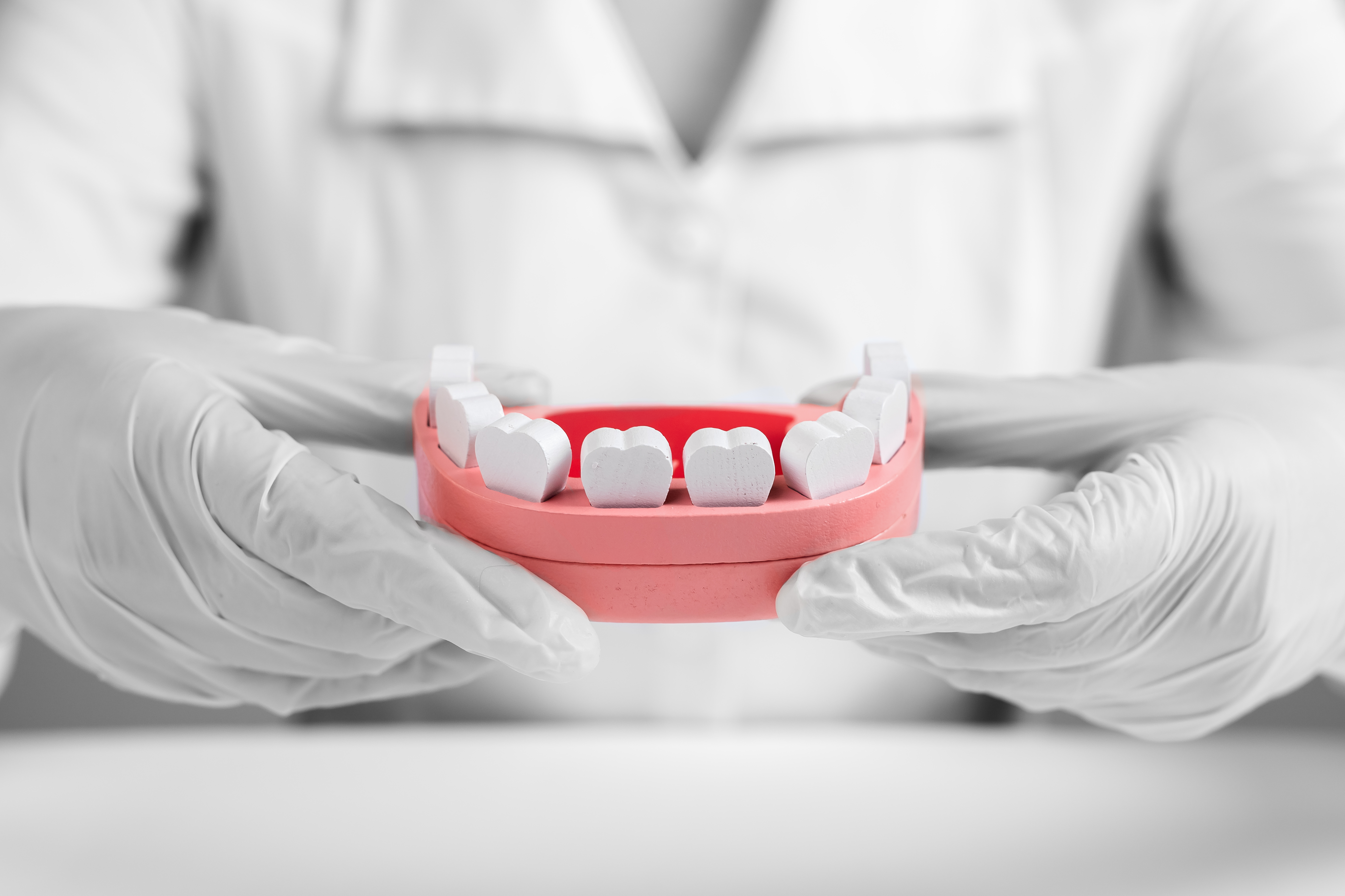 Dentist with jaw model in hands Teeth gums and mouth examination dental checkup Oral hygiene concept Doctor in lab coat…