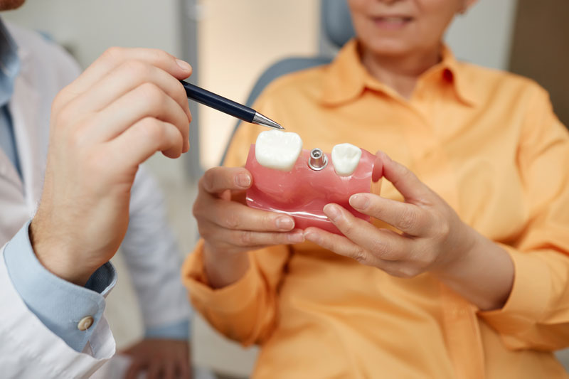 A tooth model used to explain an extraction