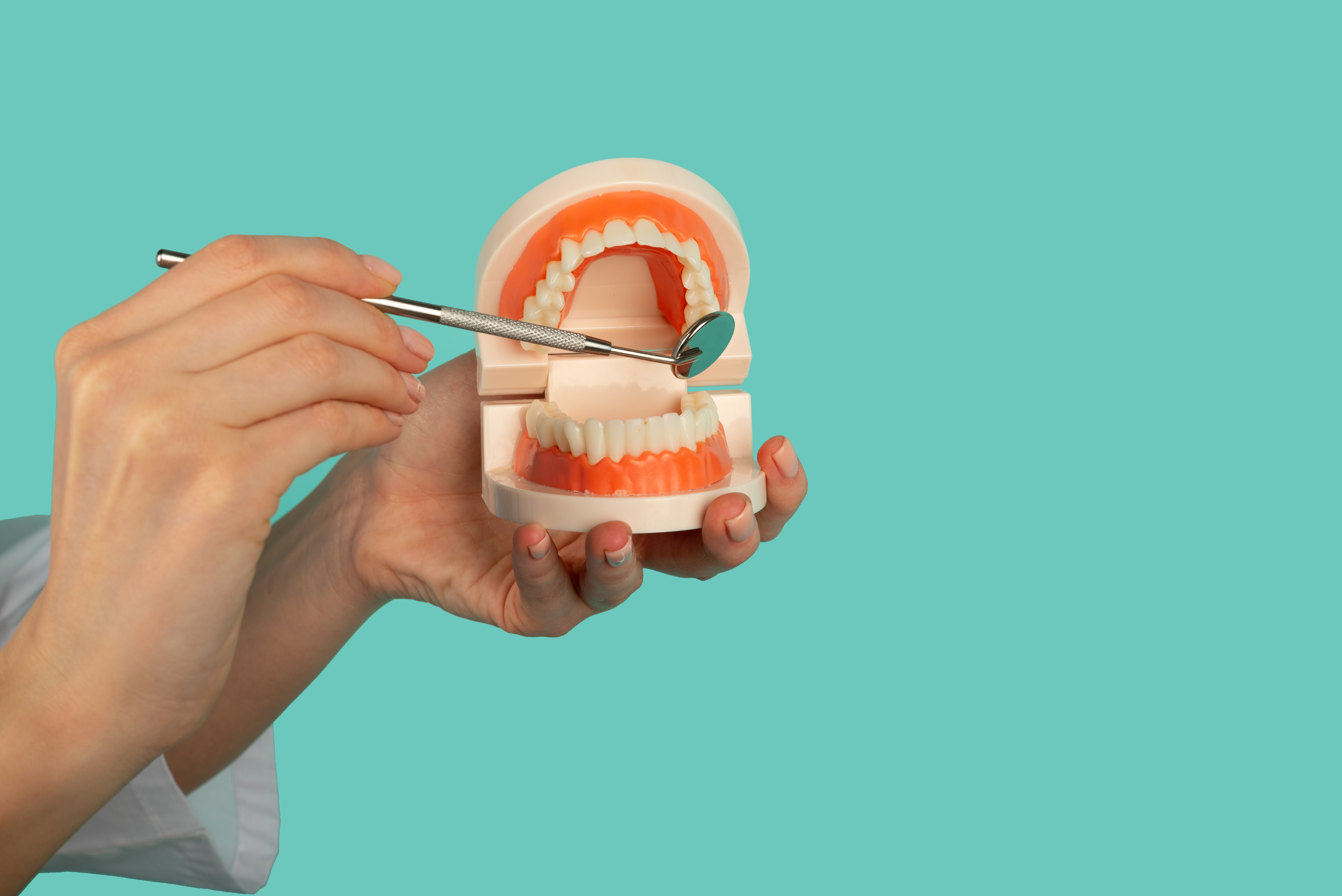 Woman dentist showing on a jaw model on blue bacvkground